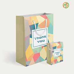 Wholesale Custom Logo Paper Shopping Bag